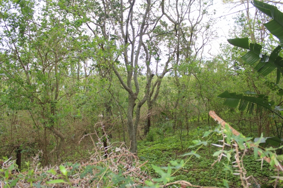 4 Bedroom Property for Sale in Bathurst Eastern Cape